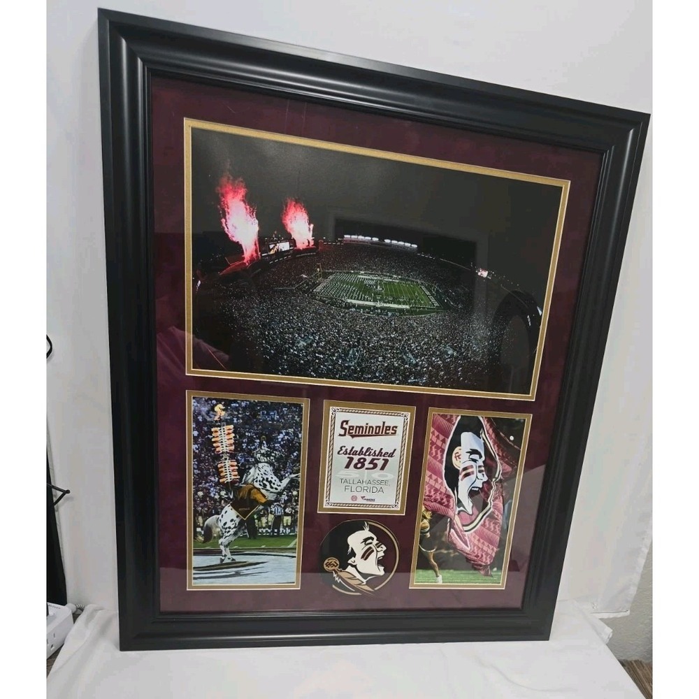 Florida State Seminoles  Doak Campbell Stadium Framed 20"x24" 3-opening Collage
